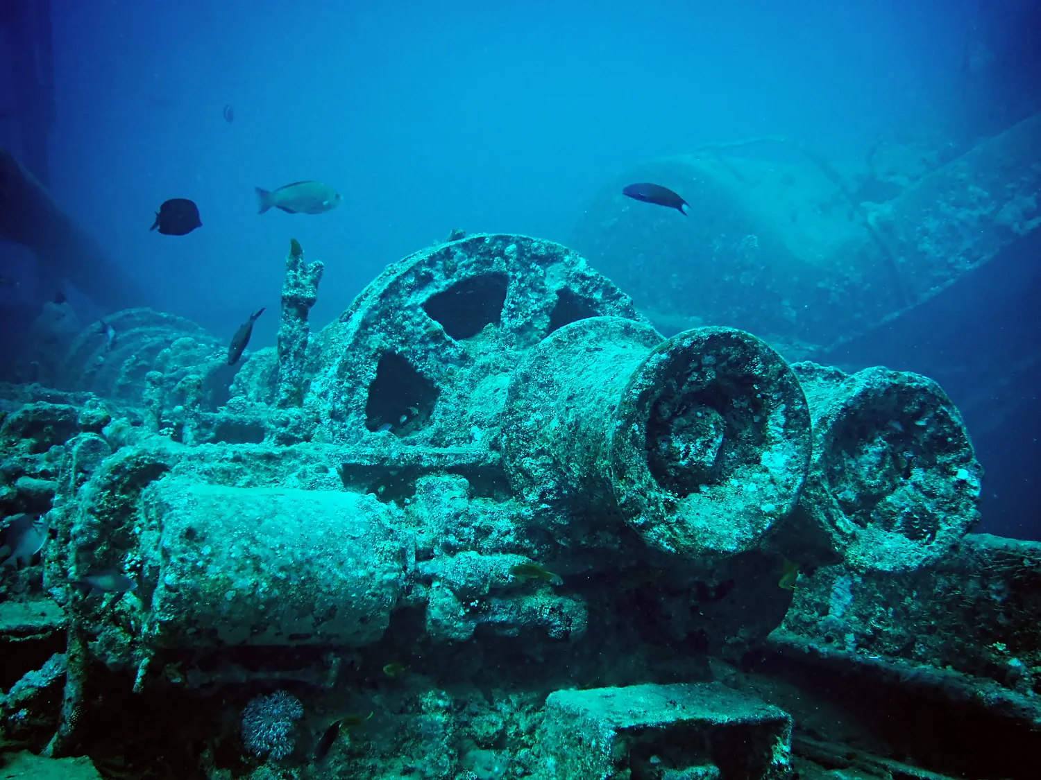 SS Thistlegorm · foto 2