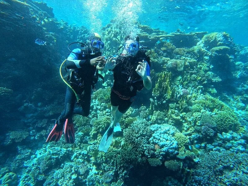 Rotes-Meer-Riff mit blaugrünem Unterwasser-Farbstich, vor der Korrektur