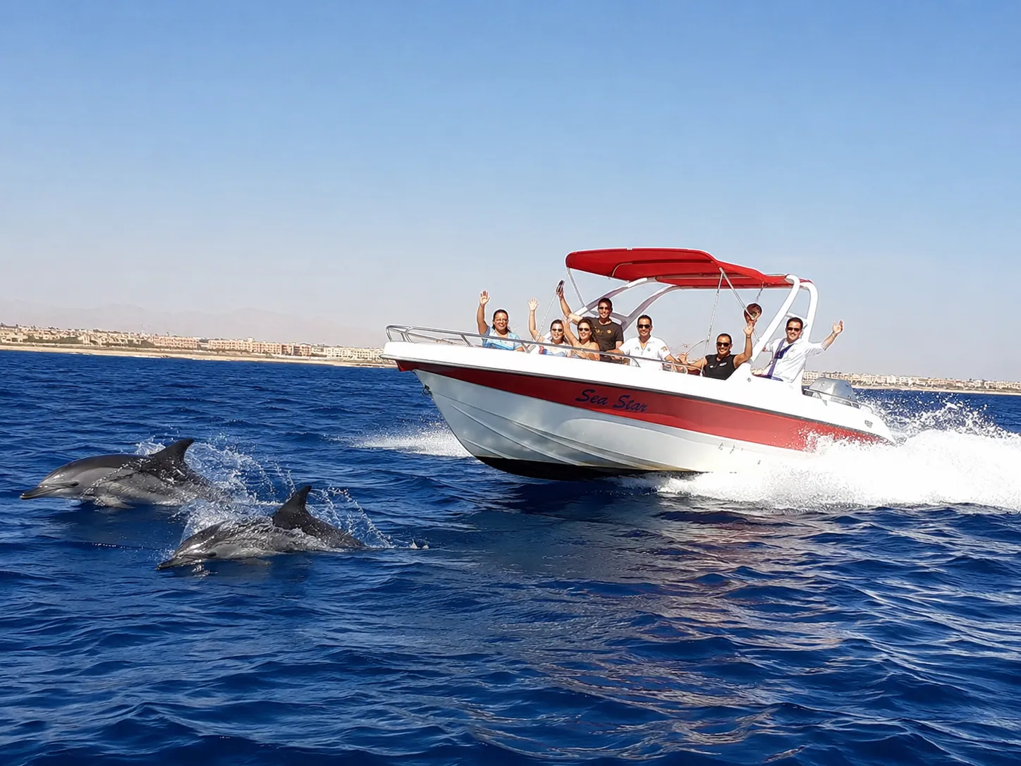 private-speedboat-snorkeling photo 4