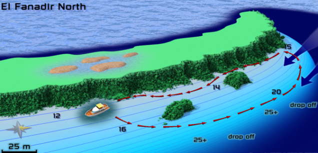 El Fanadir Dive Site in Hurghada