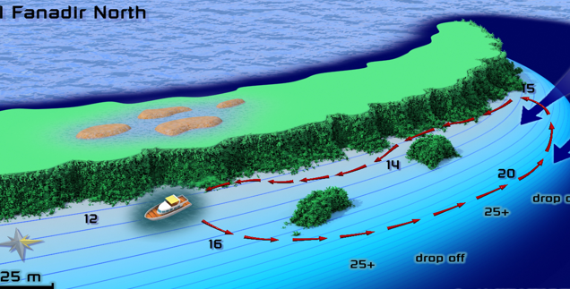 Carless Reef in Hurghada