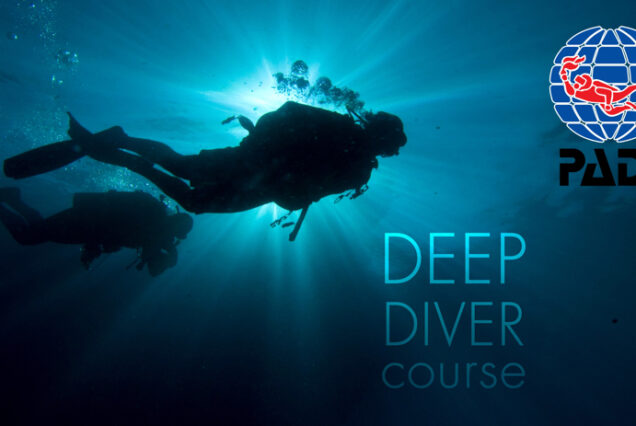 Deep Diver Course