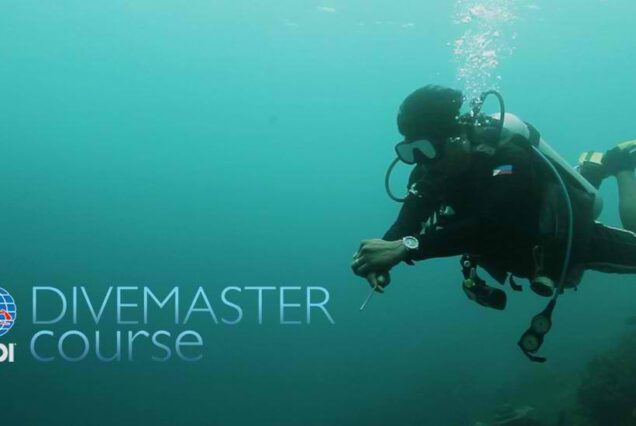 DiveMaster Course