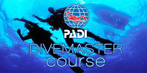 DiveMaster Course