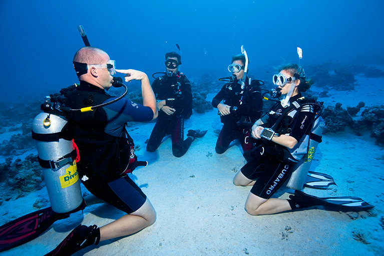 padi open water course