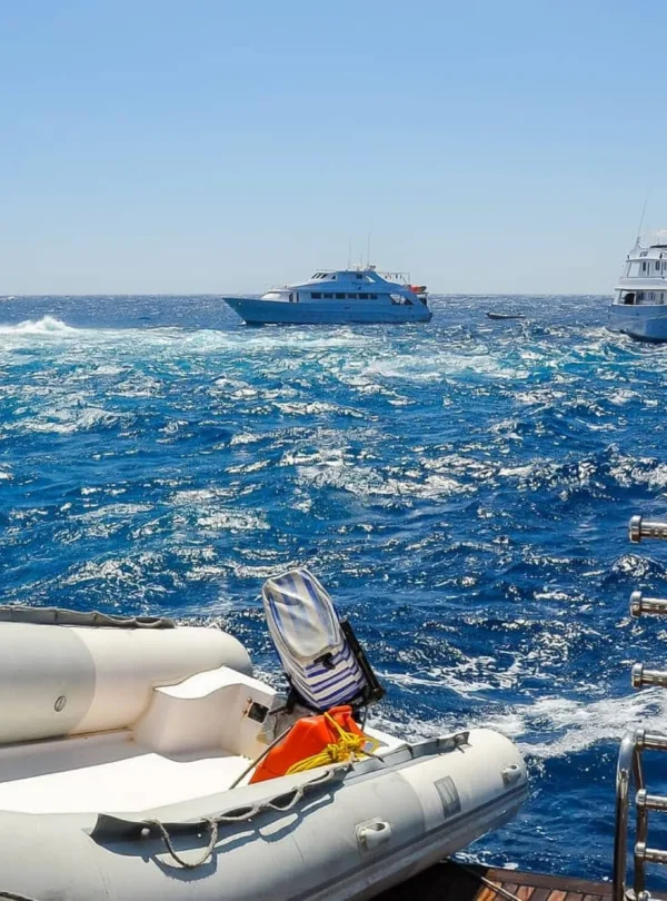 daily diving in hurghada