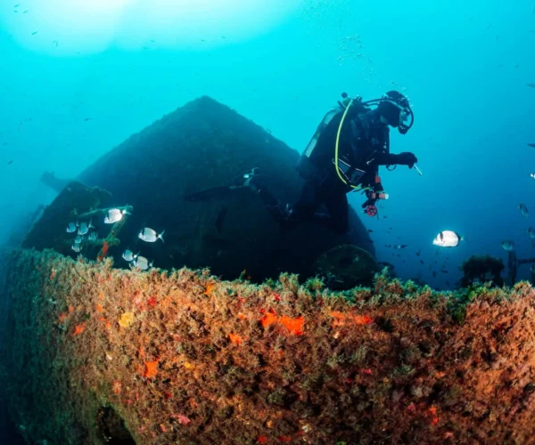 PADI Advanced Open Water Course in Hurghada – 2 Days / 5 Dives