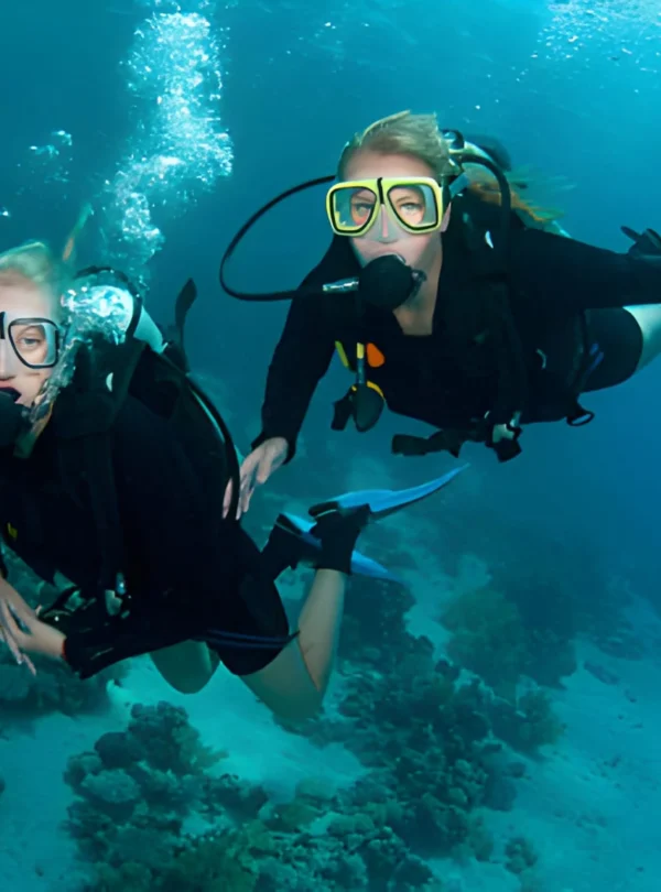 diving course in hurghada