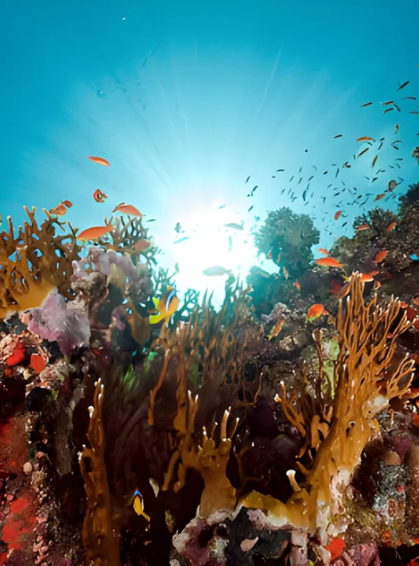 scuba underwater