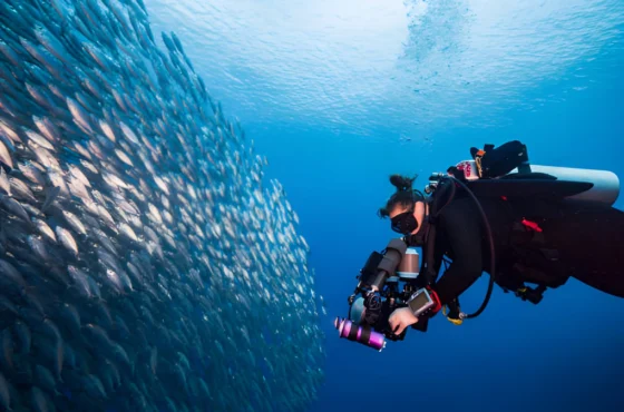 Daily Diving in Hurghada – 2 Boat Dives for Certified Divers